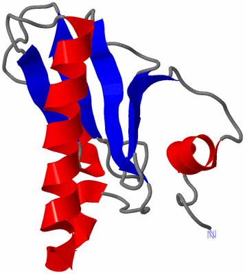 Image Asymmetric Unit