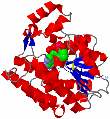 Image Asym./Biol. Unit