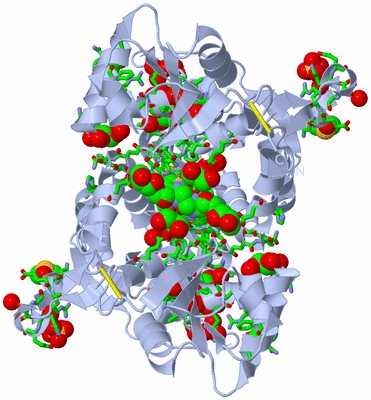 Image Biol. Unit 1 - sites