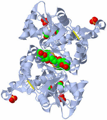 Image Biological Unit 1