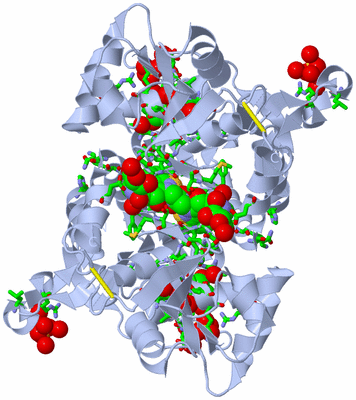 Image Biol. Unit 1 - sites