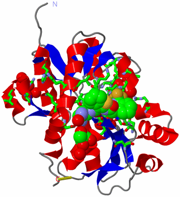 Image Asym. Unit - sites