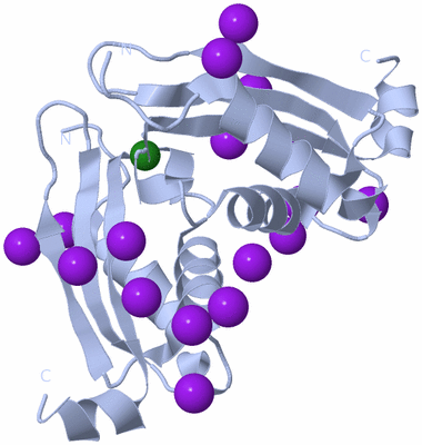 Image Biological Unit 2