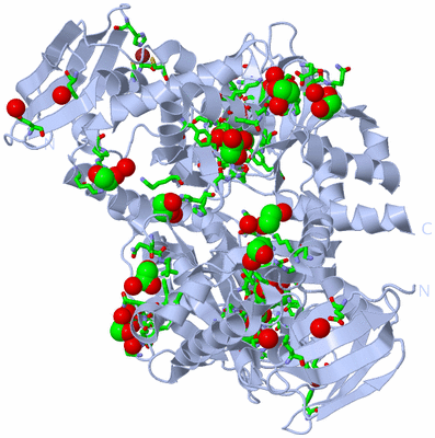 Image Biol. Unit 1 - sites