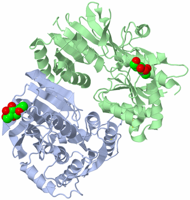 Image Asym./Biol. Unit