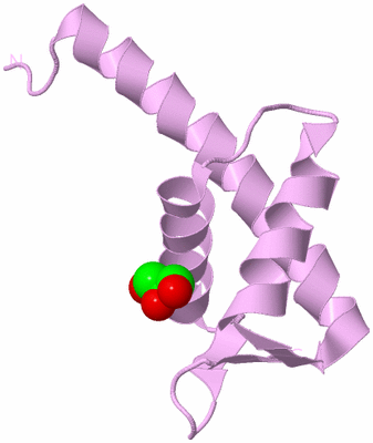 Image Biological Unit 3