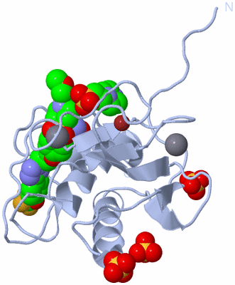 Image Biological Unit 1