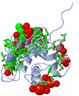 Image Biol. Unit 1 - sites