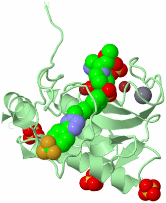 Image Biological Unit 2