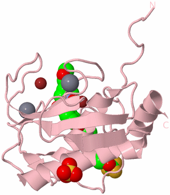 Image Biological Unit 3