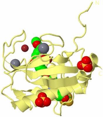 Image Biological Unit 4