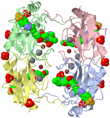 Image Biological Unit 5