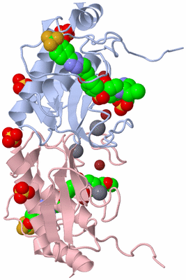 Image Biological Unit 6