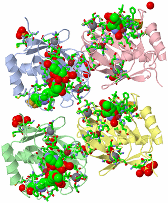 Image Asym. Unit - sites