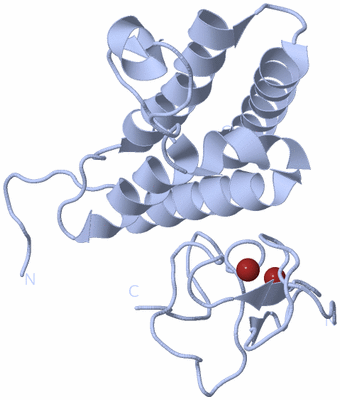 Image Biological Unit 1