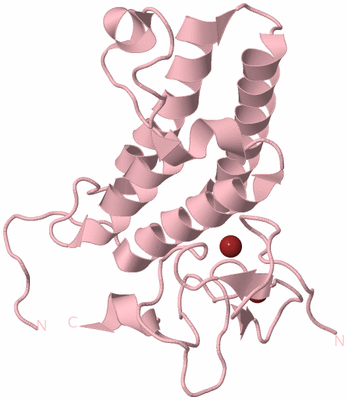 Image Biological Unit 3