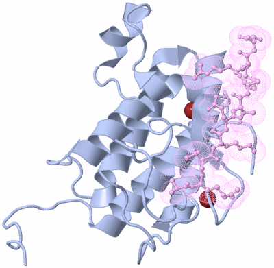 Image Biological Unit 1