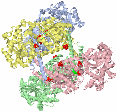 Image Asym./Biol. Unit