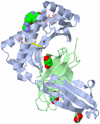 Image Biological Unit 1