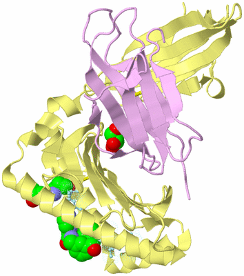 Image Biological Unit 2