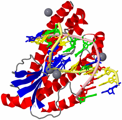 Image Asym./Biol. Unit