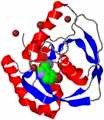 Image Asym./Biol. Unit