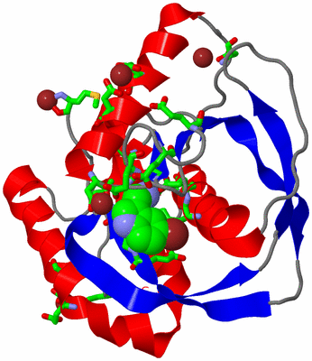 Image Asym./Biol. Unit - sites