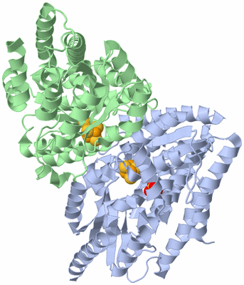 Image Biological Unit 1