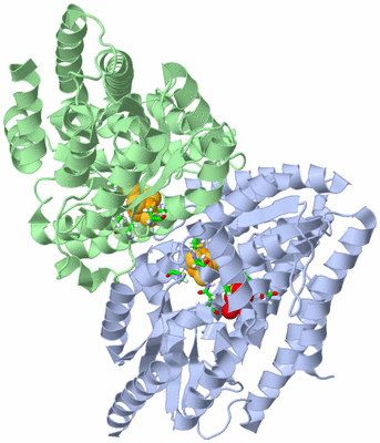 Image Biol. Unit 1 - sites