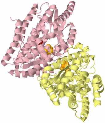 Image Biological Unit 2