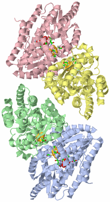 Image Asym. Unit - sites