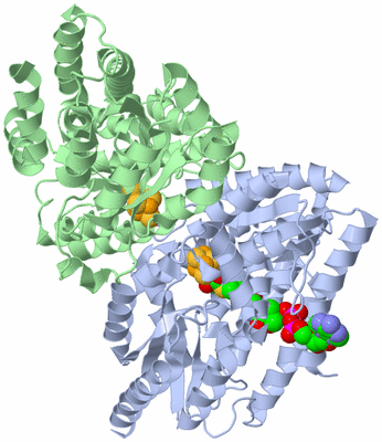 Image Biological Unit 1