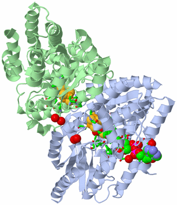 Image Biol. Unit 1 - sites