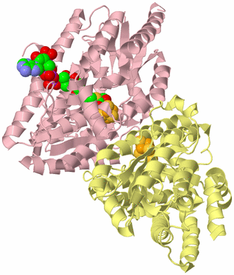 Image Biological Unit 2