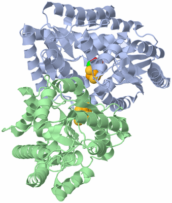 Image Asym./Biol. Unit