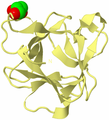 Image Biological Unit 4