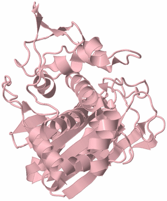 Image Biological Unit 3