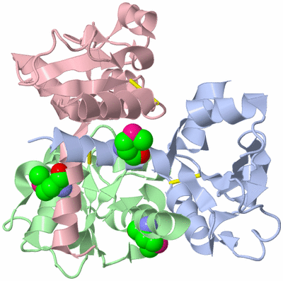 Image Biological Unit 1