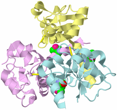 Image Biological Unit 2