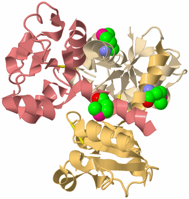 Image Biological Unit 3