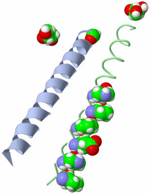 Image Asymmetric Unit