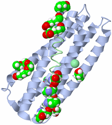 Image Asym./Biol. Unit