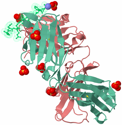 Image Biological Unit 1