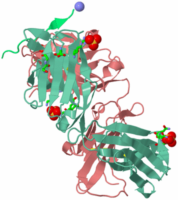 Image Biol. Unit 1 - sites