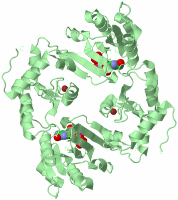 Image Biological Unit 2