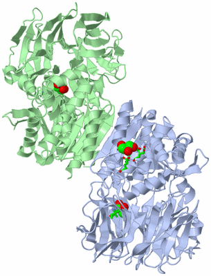 Image Biol. Unit 1 - sites