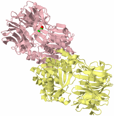 Image Biological Unit 2