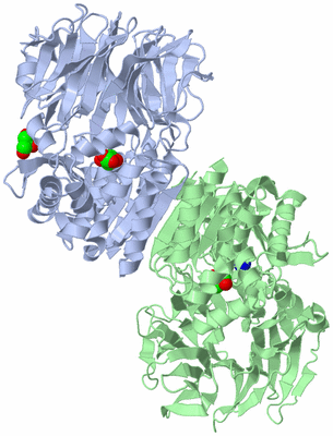 Image Biological Unit 1