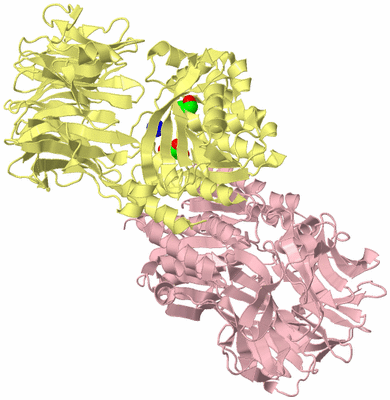 Image Biological Unit 2