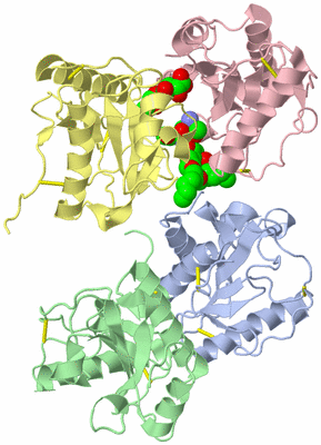 Image Asym./Biol. Unit